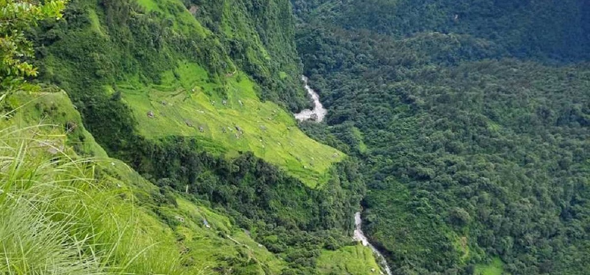 तस्बिर स्रोत: झक छन्त्याल